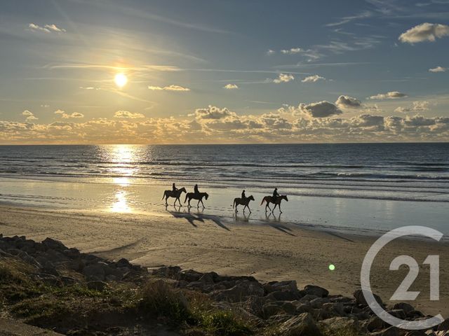 maison - HARDELOT PLAGE - 62