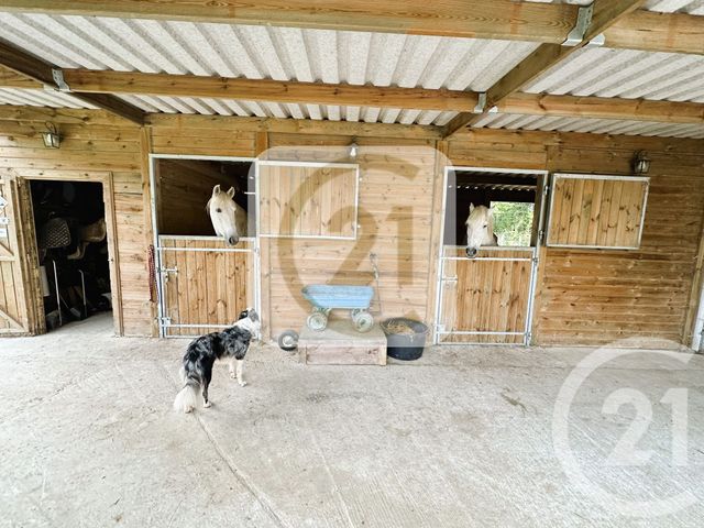 maison à vendre - 6 pièces - 210.0 m2 - LONGUEVILLE - 62 - NORD-PAS-DE-CALAIS - Century 21 Transimmo