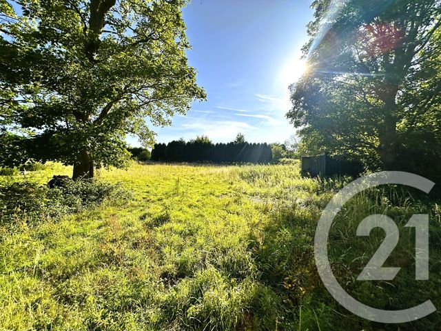 maison à vendre - 18 pièces - 437.0 m2 - ZUTKERQUE - 62 - NORD-PAS-DE-CALAIS - Century 21 Transimmo