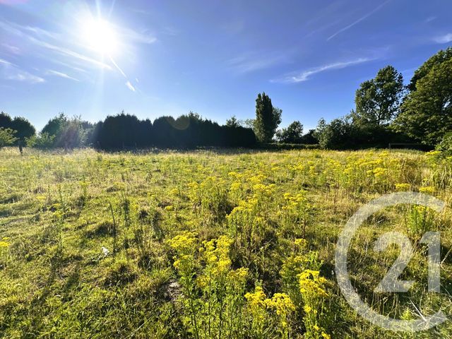 maison à vendre - 18 pièces - 437.0 m2 - ZUTKERQUE - 62 - NORD-PAS-DE-CALAIS - Century 21 Transimmo